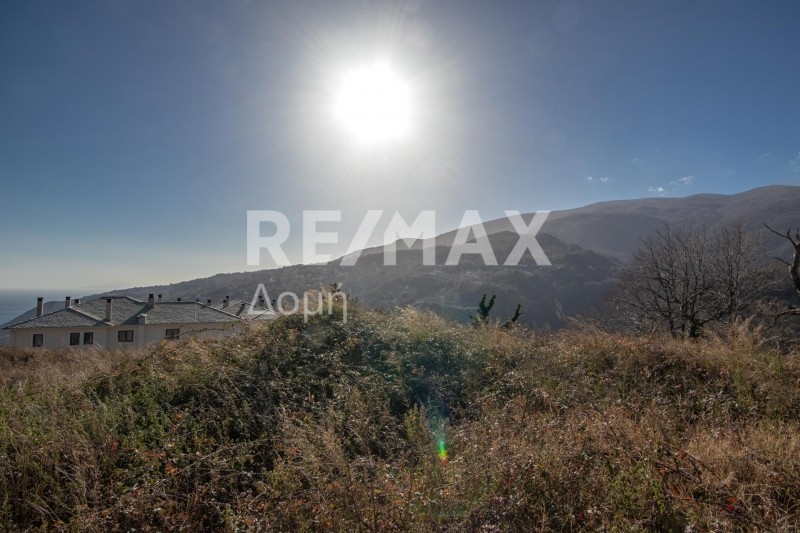Οικόπεδο 2.000 τ.μ. πρός πώληση, Μαγνησία, Μούρεσι
