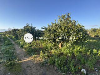 Αγροτεμάχια 8.000 τ.μ. για πώληση, Αργολίδα, Άργος-thumb-2
