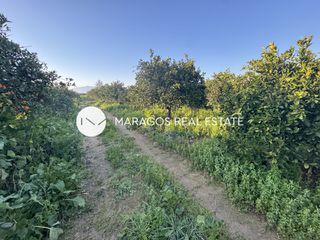 Αγροτεμάχια 8.000 τ.μ. για πώληση, Αργολίδα, Άργος-thumb-8