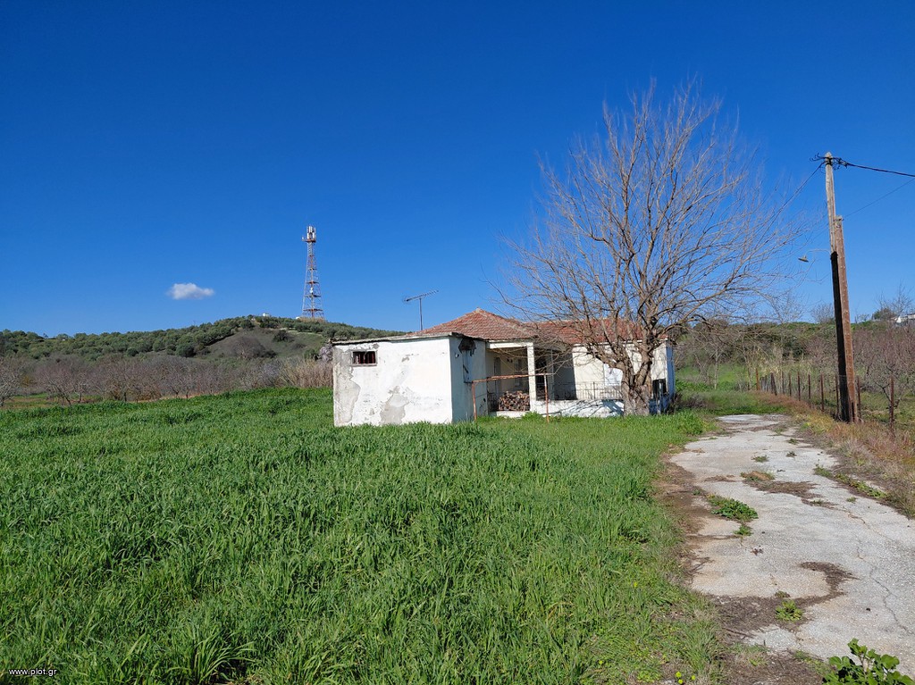 Μονοκατοικία 90 τ.μ. πρός πώληση, Μαγνησία, Φερών