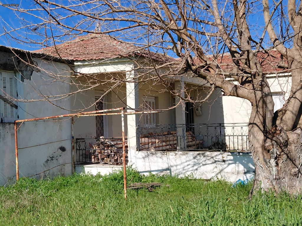 Μονοκατοικία 90 τ.μ. πρός πώληση, Μαγνησία, Φερών