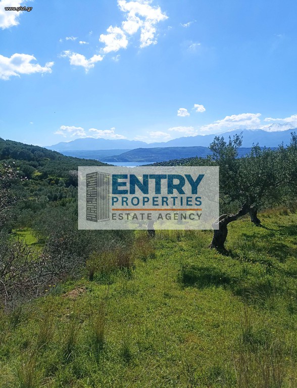 Αγροτεμάχια 4.728 τ.μ. προς πώληση, Στέρνες Ακρωτηρίου