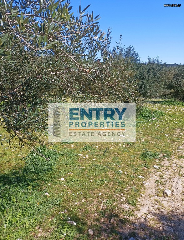 Αγροτεμάχια 4.728 τ.μ. προς πώληση, Στέρνες Ακρωτηρίου