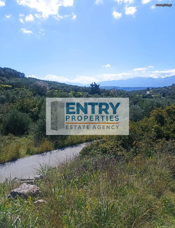 Οικόπεδο 4.134 τ.μ. προς πώληση, Στέρνες Ακρωτηρίου