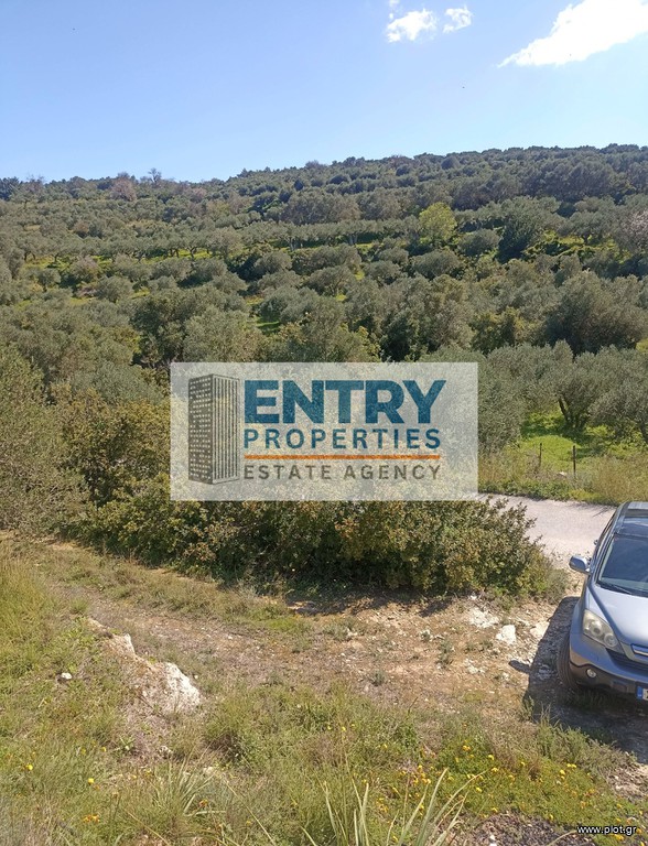 Οικόπεδο 4.134 τ.μ. προς πώληση, Στέρνες Ακρωτηρίου