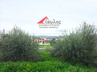 Οικόπεδο 417 τ.μ. για πώληση, Ν. Ρεθύμνου, Γεροπόταμος-thumb-3