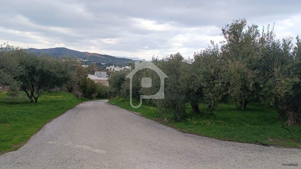 Οικόπεδο 500 τ.μ. προς πώληση, Λυγιδές