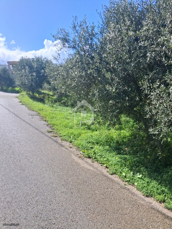 Οικόπεδο 500 τ.μ. προς πώληση, Λυγιδές