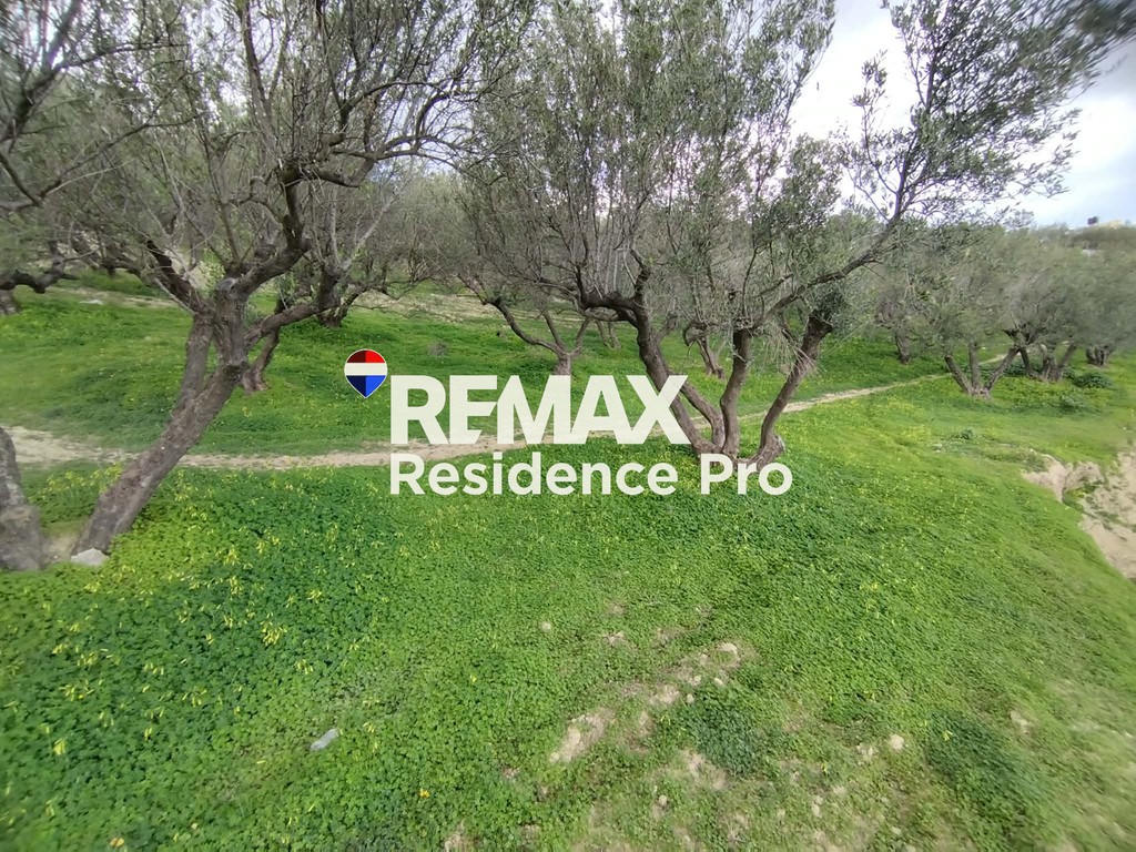 Οικόπεδο 9.880 τ.μ. προς πώληση, Ηράκλειο Κρήτης