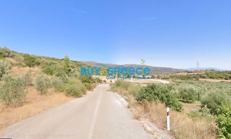 Αγροτεμάχια 4.562 τ.μ. για πώληση