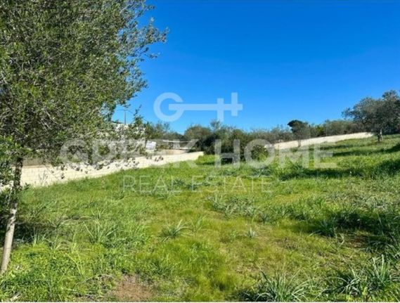 Οικόπεδο 816 τ.μ. για πώληση, Αργολίδα, Κρανίδι