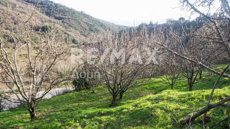 Αγροτεμάχια 892 τ.μ. για πώληση