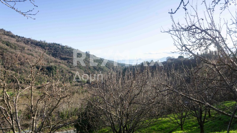 Αγροτεμάχια 892 τ.μ. πρός πώληση, Μαγνησία, Αγριά
