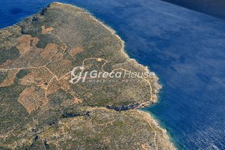 Οικόπεδο 125.000 τ.μ. για πώληση, Μεσσηνία, Λεύκτρος-thumb-14