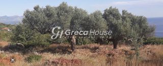 Οικόπεδο 125.000 τ.μ. για πώληση, Μεσσηνία, Λεύκτρος-thumb-17