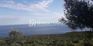 Οικόπεδο 125.000 τ.μ. για πώληση, Μεσσηνία, Λεύκτρος-thumb-11