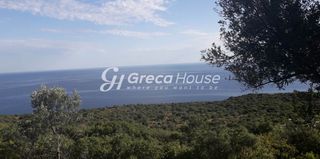 Οικόπεδο 125.000 τ.μ. για πώληση, Μεσσηνία, Λεύκτρος-thumb-23
