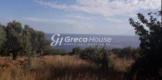 Οικόπεδο 125.000 τ.μ. για πώληση, Μεσσηνία, Λεύκτρος-thumb-19