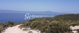 Οικόπεδο 125.000 τ.μ. για πώληση, Μεσσηνία, Λεύκτρος-thumb-24