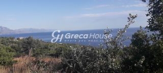 Οικόπεδο 125.000 τ.μ. για πώληση, Μεσσηνία, Λεύκτρος-thumb-12