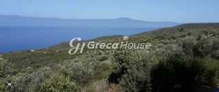 Οικόπεδο 125.000 τ.μ. για πώληση, Μεσσηνία, Λεύκτρος-thumb-22