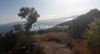 Οικόπεδο 125.000 τ.μ. για πώληση, Μεσσηνία, Λεύκτρος-thumb-16