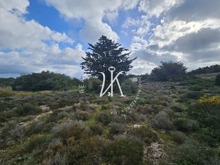 Οικόπεδο 4.000 τ.μ. για πώληση, Δωδεκάνησα, Ρόδος-thumb-3