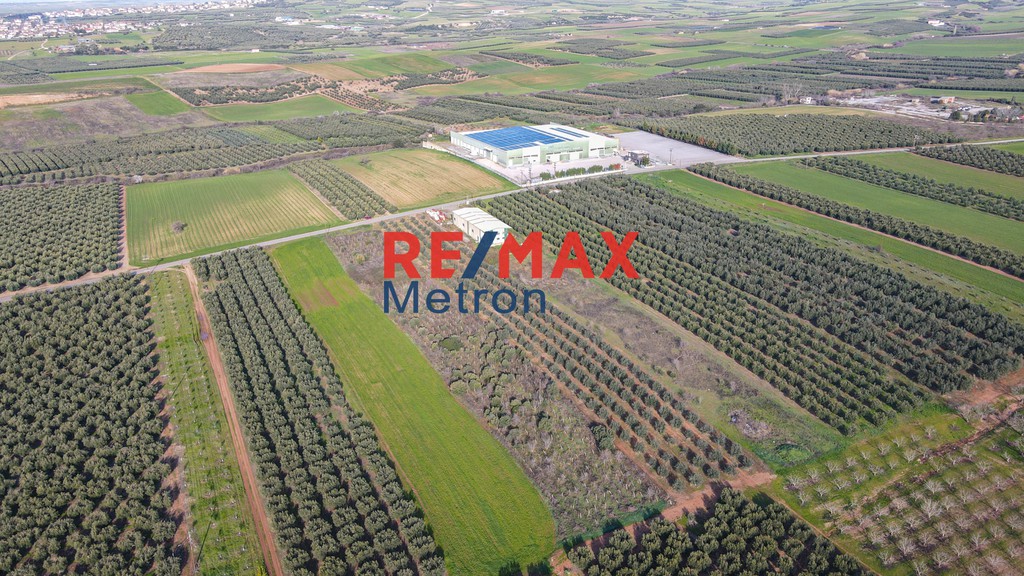 Αγροτεμάχια 8.241 τ.μ. πρός πώληση, Χαλκιδική, Τριγλία