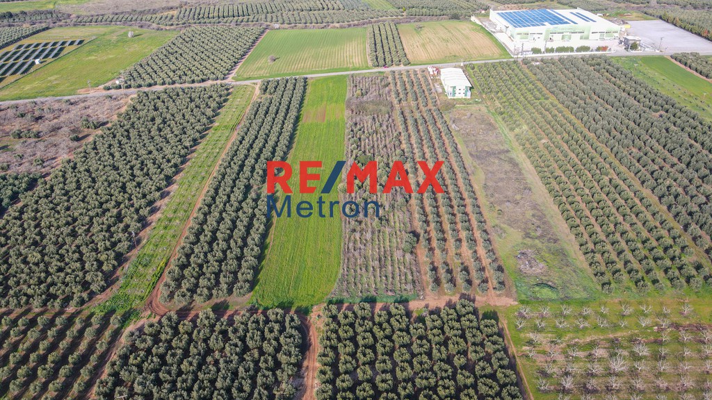 Αγροτεμάχια 8.241 τ.μ. πρός πώληση, Χαλκιδική, Τριγλία