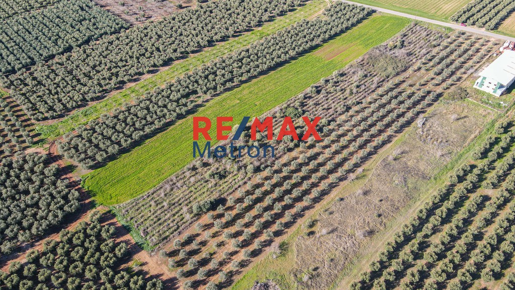 Αγροτεμάχια 8.241 τ.μ. πρός πώληση, Χαλκιδική, Τριγλία