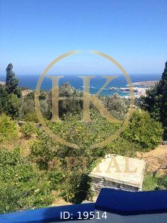 Μονοκατοικία 220 τ.μ. προς πώληση, Χώρα Άνδρου