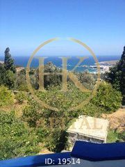 Μονοκατοικία 220 τ.μ. πρός πώληση, Κυκλάδες, Άνδρος-thumb-4