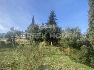 Βίλλα 350 τ.μ. για πώληση, Αχαΐα, Ρίο-thumb-15