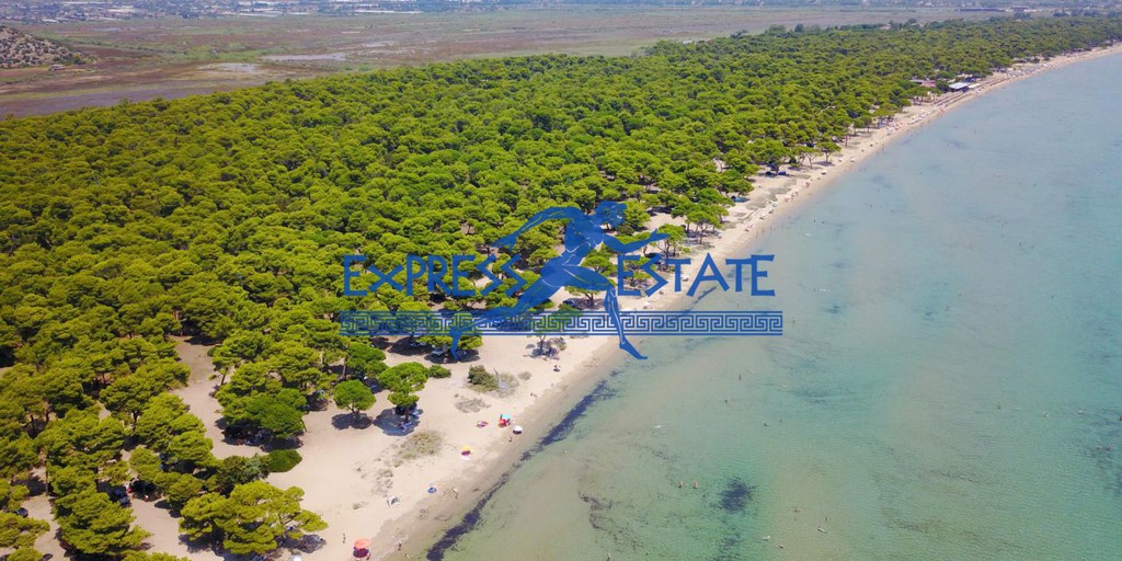 Οικόπεδο 757 τ.μ. πρός πώληση, Αθήνα - Ανατολικά Προάστια, Μαραθώνας