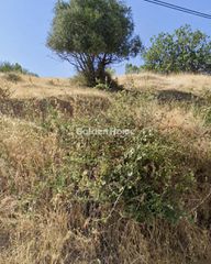 Οικόπεδο 3.800 τ.μ. για ενοικίαση