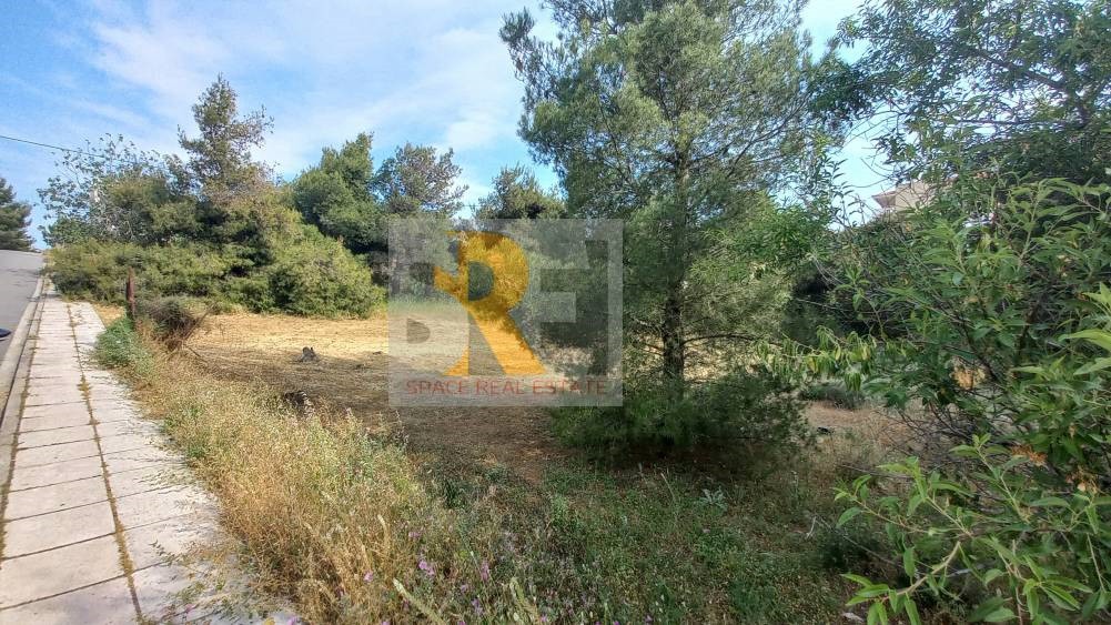 Οικόπεδο 1.460 τ.μ. προς πώληση, Άνω Μελίσσια
