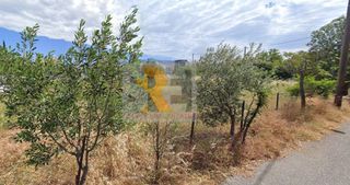 Οικόπεδο 902 τ.μ. για πώληση