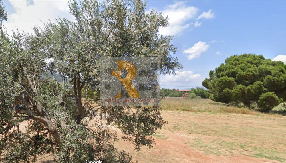 Οικόπεδο 780 τ.μ. προς πώληση, Άνοιξη Παιανίας
