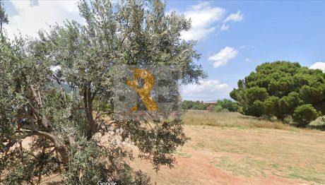 Οικόπεδο 780 τ.μ. προς πώληση