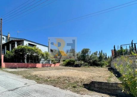 Οικόπεδο 244 τ.μ. προς πώληση