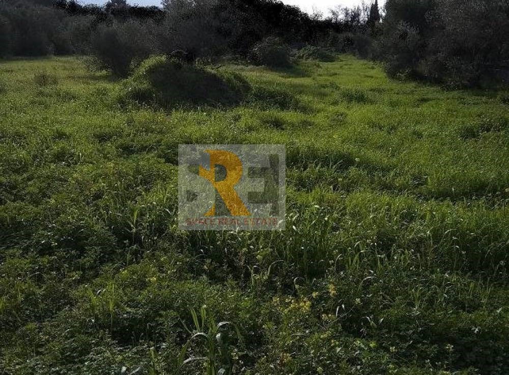 Οικόπεδο 1.700 τ.μ. προς πώληση, Δροσιά