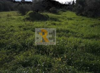Οικόπεδο 1.700 τ.μ. για πώληση