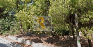 Οικόπεδο 250 τ.μ. για πώληση