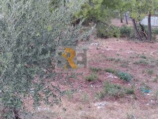Οικόπεδο 602 τ.μ. για πώληση, Αθήνα - Βόρεια Προάστια, Δροσιά-thumb-1