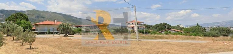 Land plot 1.170 sqm for sale, Athens - East, Paiania