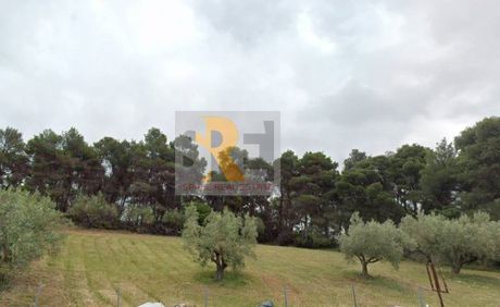 Οικόπεδο 2.300 τ.μ. για πώληση