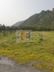 Οικόπεδο 1.080 τ.μ. για πώληση, Λακωνία, Μυστράς-thumb-1