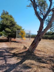 Οικόπεδο 483 τ.μ. για πώληση
