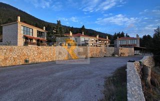 Ξενοδοχείο 1.500 τ.μ. για πώληση, Αρκαδία, Βιτίνα-thumb-3