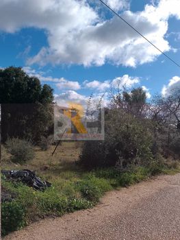 Οικόπεδο 246 τ.μ. προς πώληση